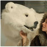 Bjorn the interactive polar bear is coming to Doncaster this weekend.