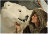 Bjorn the interactive polar bear is coming to Doncaster this weekend.