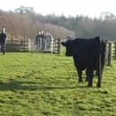 Doncaster Ramblers in East Riding of Yorkshire