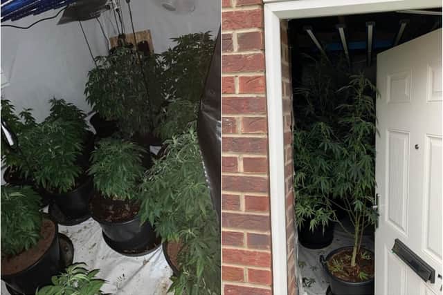 Police said the house resembled a scene from Day of the Triffids.