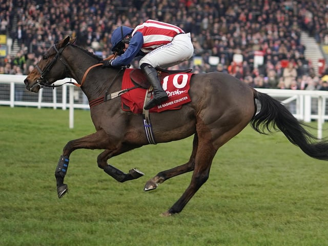 Owned by the Makin' Bacon Partnership, Emma Lavelle's 10yo is the most weirdly named runner this year. But if you're looking for a big-priced outsider to spring a surprise, he could be the answer. He's been allotted a handicap rating identical to that off which he won the Ladbrokes Trophy (former Hennessy Gold Cup) three seasons ago and although he's been plagued by injury and absence ever since, he shaped very nicely behind quality opposition on his seasonal comeback run two months ago.