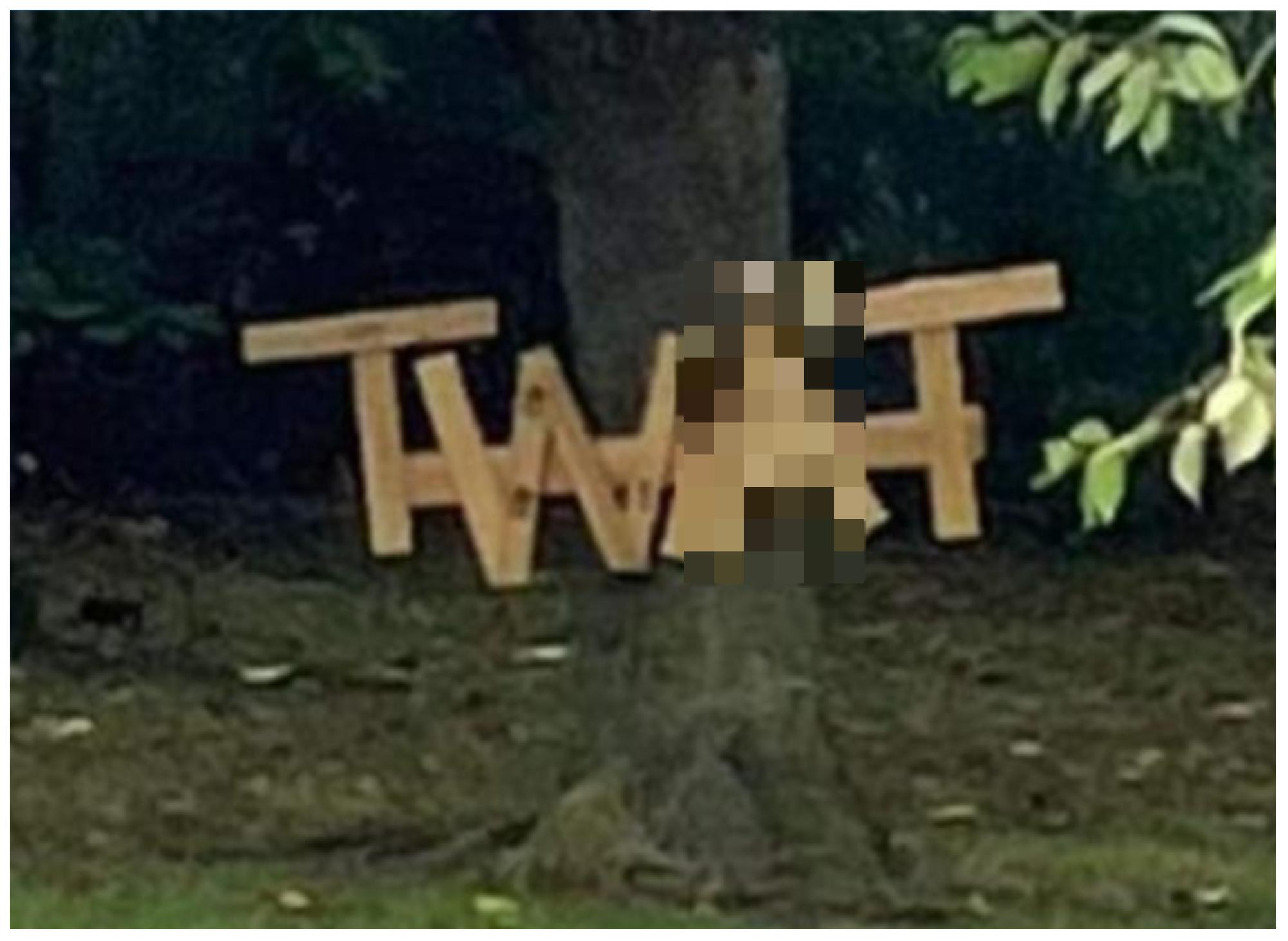 Someone has made a rude word out of wood and nailed it to a tree in ...