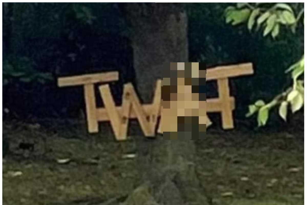 Tree With Rude Name Someone has made a rude word out of wood and nailed it to a tree in ...