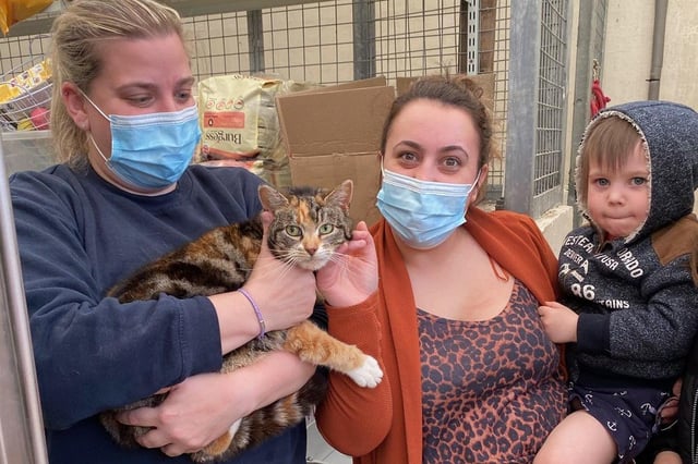 Ilex and her son, who was born during Kiara's absence, are reunited with Kiara
