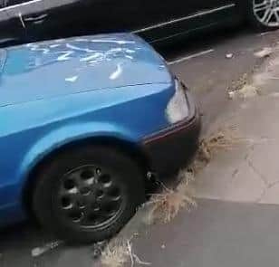 Just one of the cars that was attacked