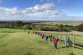 Loving the open spaces green fields and blue sky's