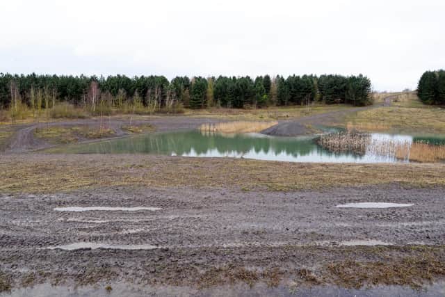 The land around the Pond has been churned and destroyed by Motorbikes and Quads. Picture: NDFP-14-03-20 PitwoodEdlington 9-NMSY