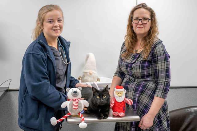 Student vet Caitlin Ashmore with Bob and owner Nadine Graham.