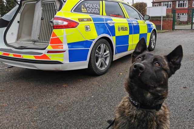 Police dog Benson sniffed out a wanted man following a chase.