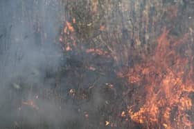 Be careful for grassland fires in this heat