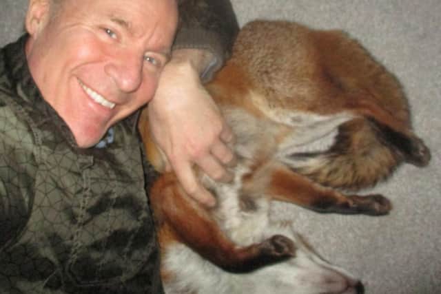 Les Hemstock with Ben the fox. See SWNS story SWSYfox. A man adopted an orphaned fox cub after it crawled into his jacket sleeve for a nap. Les Hemstock, 51, was visiting a wildlife sanctuary where a friend was working, when he met a family of cubs brought in by a member of the public. The skulk were starving, freezing and riddled with ticks, and in desperate need of medical attention if they were to survive. One tiny cub - now called Ben - wandered straight over to Les, making a bed in the sleeve of his jacket where he fell fast asleep.