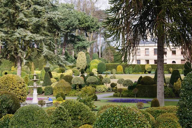 Brodsworth Hall gardens
