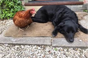 The pair have become inseperable. (Photo: SWNS).