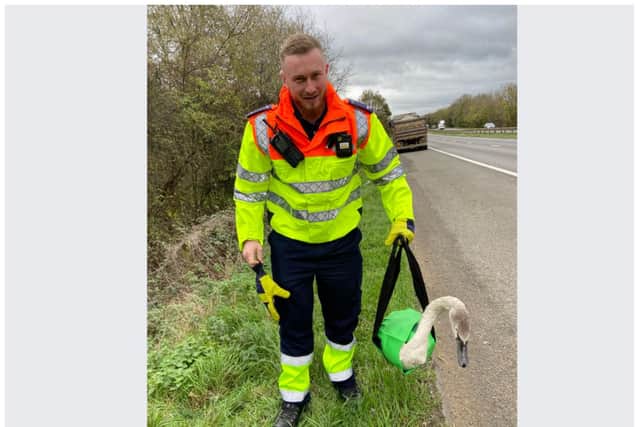 Boris was rescued from the side the A1 near Doncaster.