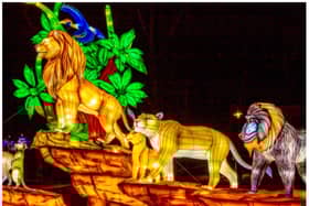 Yorkshire Wildlife Park's Winter Illuminations are returning this Christmas.
