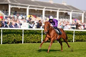 Persian Force ridden by Rossa Ryan wins the SBK Brocklesby Conditions Stakes at Doncaster Racecourse. Photo: Alan Crowhurst/Getty Images