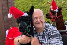 Harrogate Court resident John Turner gets a Christmas cuddle with one of the alpacas.