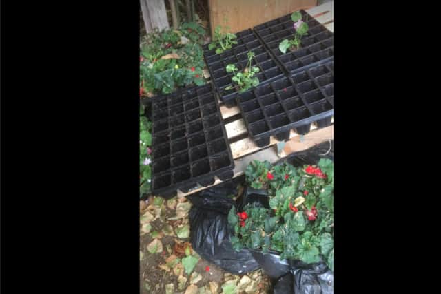 Thieves stole scores of plants from Sandall Park. (Photo: Friends of Sandall Park).