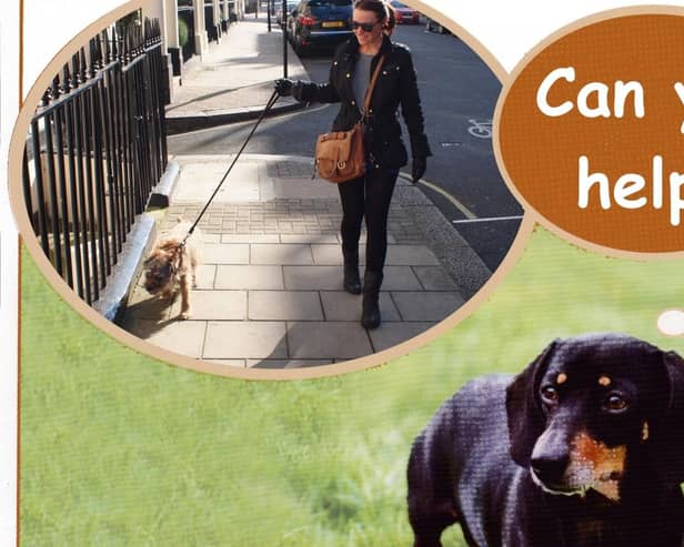 The search is on for dog walkers