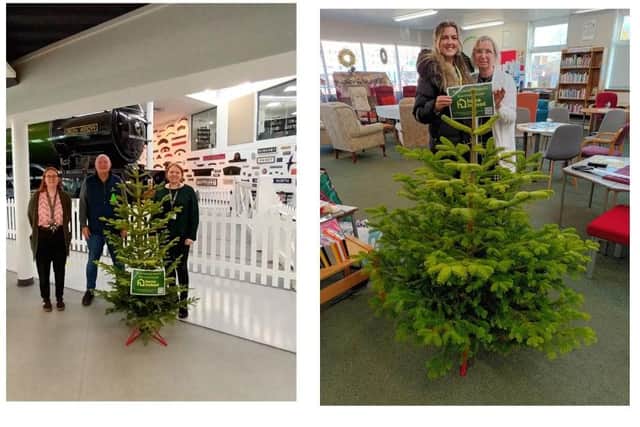 Doncaster care company donates over 20 real Christmas trees to community venues.