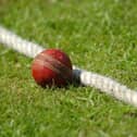 Cricket