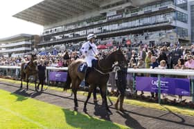 The Ant Marketing Weston Park Cancer Charity Race Evening at Doncaster Racecourse raised £41,000 for cancer care, treatment advances and research. Photo credit: Visual Group