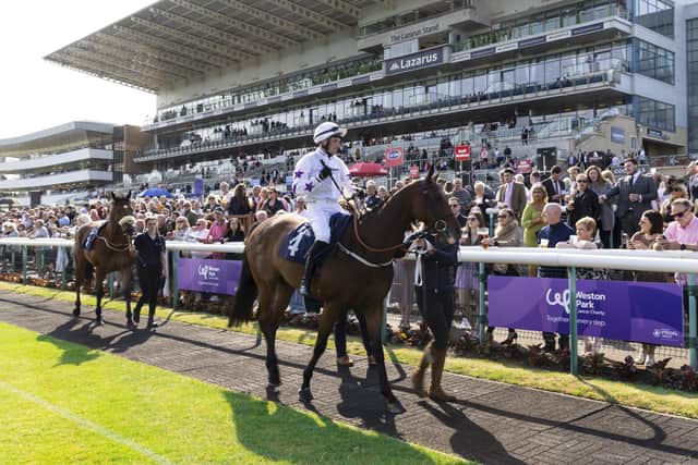 The Ant Marketing Weston Park Cancer Charity Race Evening at Doncaster Racecourse raised £41,000 for cancer care, treatment advances and research. Photo credit: Visual Group