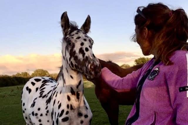 Anita with Sully when he was a young foal.
