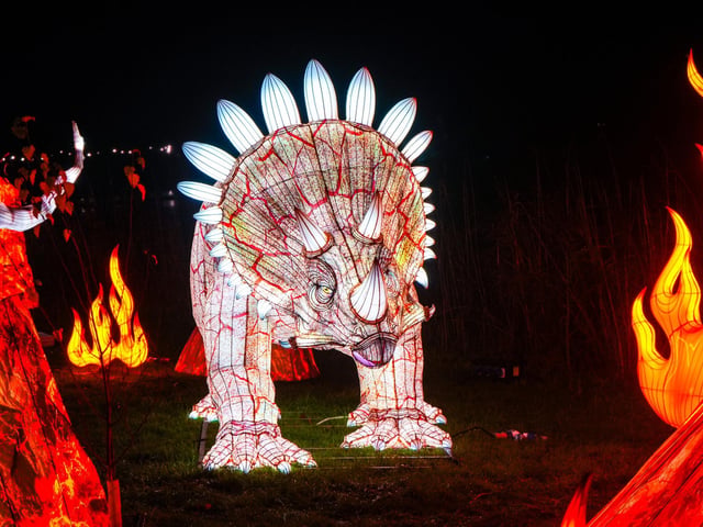 Yorkshire Wildlife Park winter illuminations 2025
