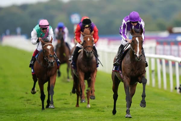Seventh heaven: Ryan Moore and Continuous deny Frankie Dettori, left, on Arrest and Tom Marquand, right on Royal horse Desert Hero, to win a seventh Doncaster St Leger for trainer Aidan O'Brien.