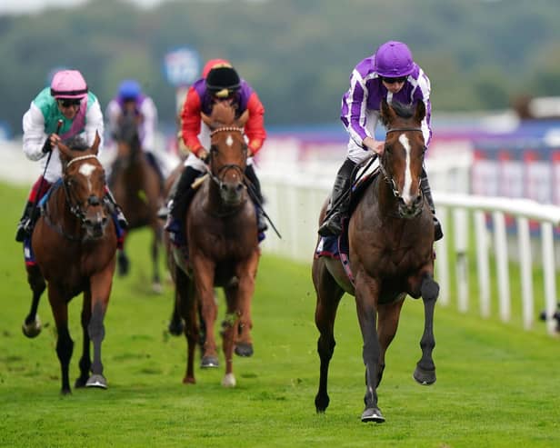 Seventh heaven: Ryan Moore and Continuous deny Frankie Dettori, left, on Arrest and Tom Marquand, right on Royal horse Desert Hero, to win a seventh Doncaster St Leger for trainer Aidan O'Brien.