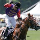 Tom Marquand celebrates after riding Desert Hero to win The King George V Stakes at Royal Ascot. Photo: Alan Crowhurst/Getty Images