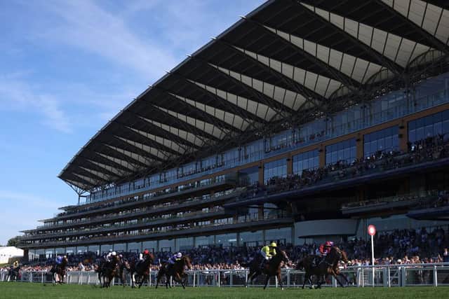Action from Ascot. Photo: Charlie Crowhurst/Getty Images