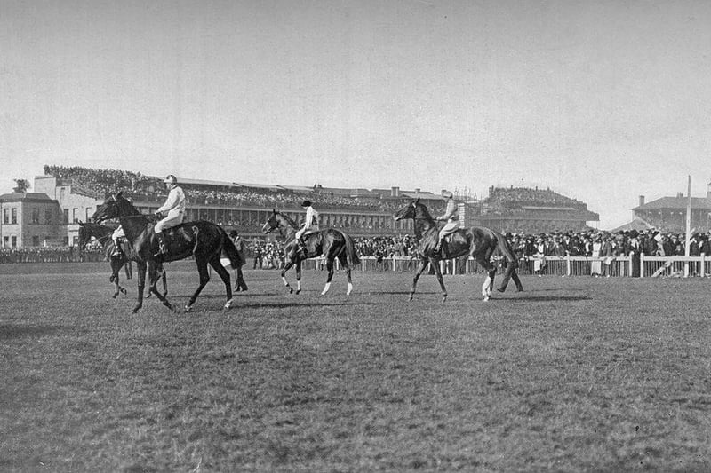 St. Leger Horses In Front of the Doncaster Stand' at Doncaster Racecourse in 1903.