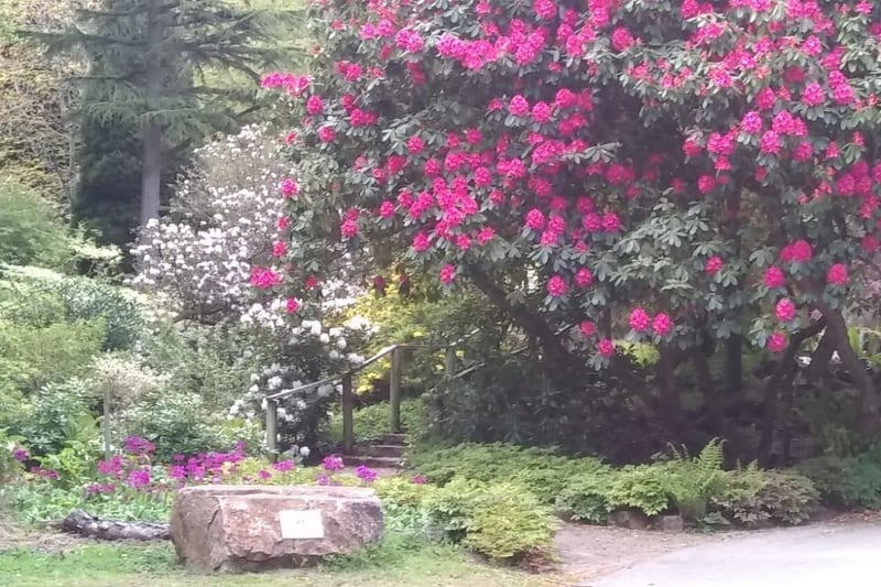 The entrance to Whirlow Brook Park after a redesign