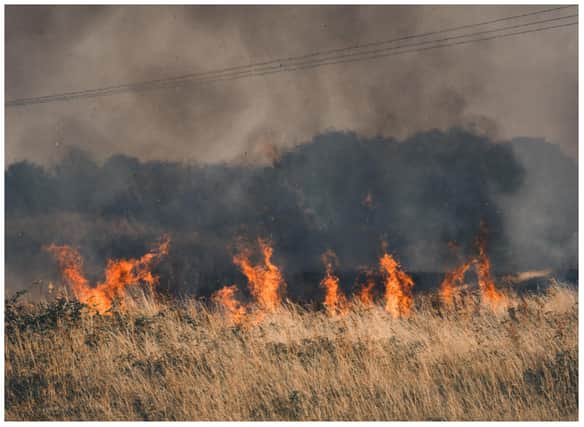 Fire ripped across grassland in Sprotbrough in Doncaster last night. (Photo: Kevin Neagle).