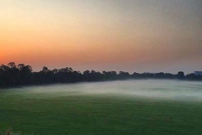 A field on a misty morning from  @madalina_gina_iacob