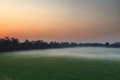 A field on a misty morning from @madalina_gina_iacob