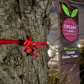 A fight has been launched to save the trees which Cherry Lane bosses say need to be chopped down for safety reasons. (Photo: Save Tickhill's Trees).