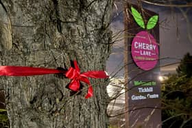 A fight has been launched to save the trees which Cherry Lane bosses say need to be chopped down for safety reasons. (Photo: Save Tickhill's Trees).