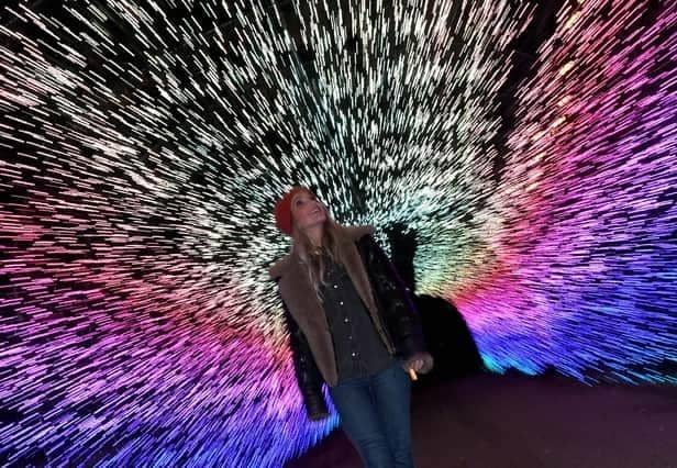 Yorkshire Wildlife Park's Winter Illuminations return this week.