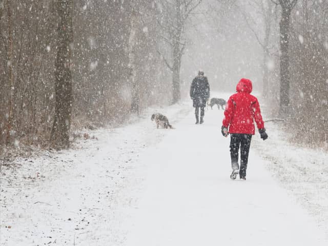 Many dogs still love the chance to go out on adventures during the colder months (photo: Adobe)