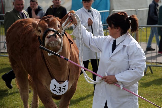 Nottinghamshire County Show, which usually happens in May, was also cancelled in 2020 but organisers say they are planning for a 'fantastic show in 2021'.