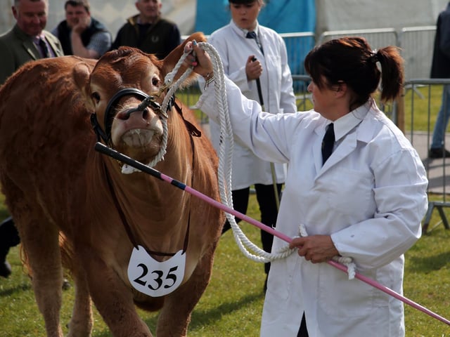 Nottinghamshire County Show, which usually happens in May, was also cancelled in 2020 but organisers say they are planning for a 'fantastic show in 2021'.