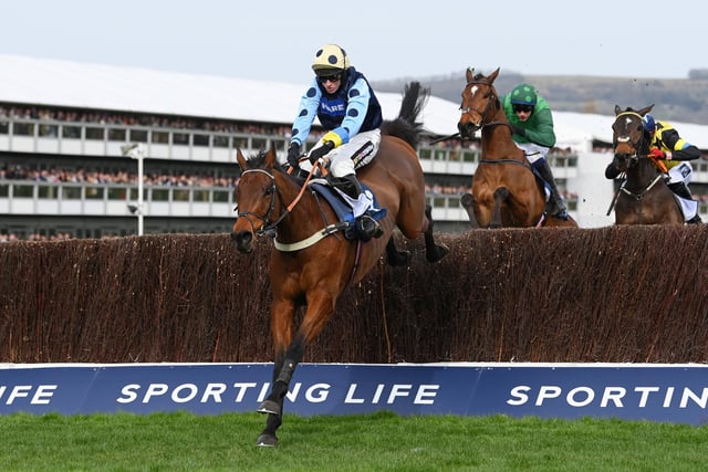 An indication of the decline of UK jumps racing is that illustrious trainer Alan King saddles only TWO runners at this week's festival. But one of them, EDWARDSTONE, is a strong fancy for one of the top Grade One prizes, the Betway Queen Mother Champion Chase on Wednesday (3.30). The 9yo, a winner here last year, boasts a lethal turn of foot and tuned up nicely last time when beating the reigning champion, Energumene.