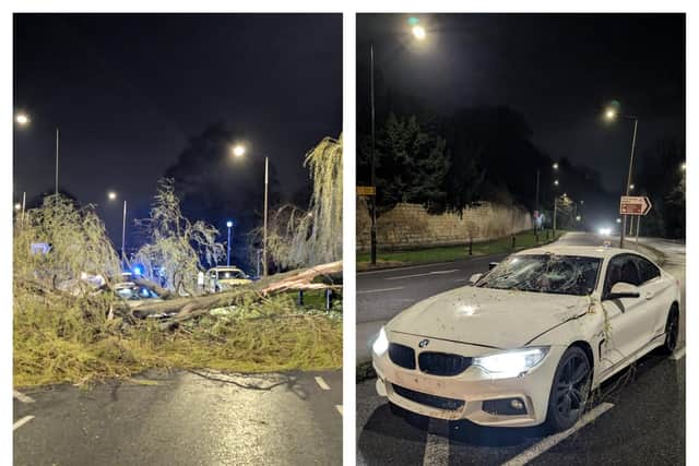 Driver's lucky escape as tree crashes onto car during Doncaster storm