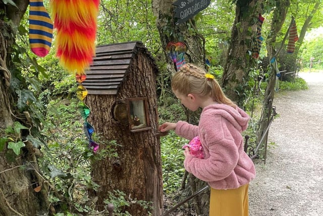 Discover tiny fairy folk houses in the Enchanted Fairy Forest