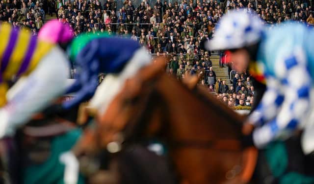 A large crowd watched the action at Cheltenham Racecourse on November 12. Photo by Alan Crowhurst/Getty Images