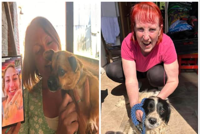 Pixie and Lola are back with their owners after going missing for years. (Photos: DogLostUK).