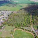 Ancient woodland near Doncaster up for auction.